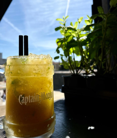 WhatsApp Image 2025-10-21 at 17.02.15 - co╠üpia 5